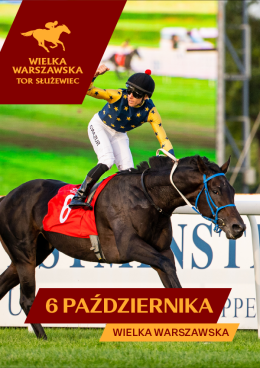 Wielka Warszawska - Wyścigi konne na Torze Służewiec 2024 - sport