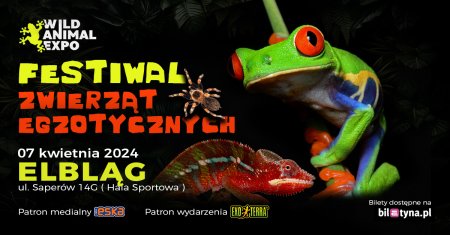 Wild Animal Expo - Festiwal Zwierząt Egzotycznych Elbląg 7-04-2024 - targi