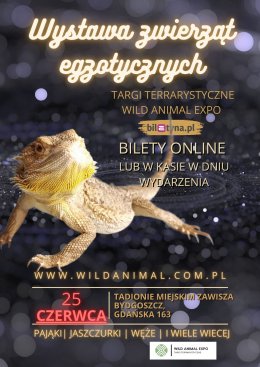 Wystawa zwierząt egzotycznych Targi Terrarystyczne Bydgoszcz Wild Animal Expo Stadion Zawisza 25-06-2023 - kabaret