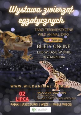 Wystawa zwierząt egzotycznych - Targi terrarystyczne - Gorzów WLKP 02-07-2023 Wild Animal Expo - wystawa
