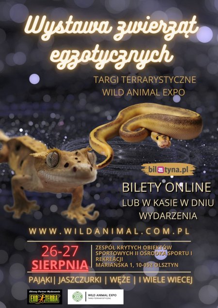 Wystawa zwierząt egzotycznych - Targi terrarystyczne OLSZTYN  26-27.08.2023 Wild Animal Expo - wystawa