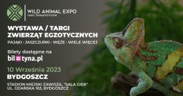 Wystawa zwierząt egzotycznych - Targi terrarystyczne - Bydgoszcz 10-09-2023 Wild Animal Expo - targi