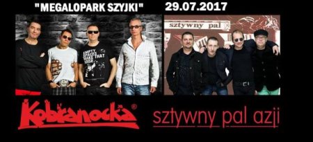 Kobranocka i Sztywny Pal Azji - koncert