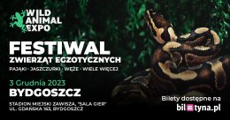 Wild Animal Expo - Festiwal Zwierząt Egzotycznych Bydgoszcz 3-12-2023 - wystawa