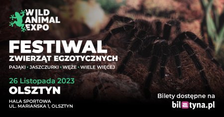 Wild Animal Expo - Festiwal Zwierząt Egzotycznych Olsztyn 26-11-2023 - wystawa