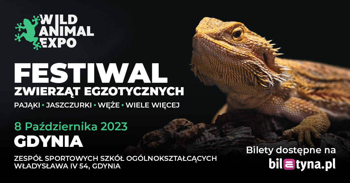 Wild Animal Expo Festiwal Zwierząt Egzotycznych Gdynia 8102023