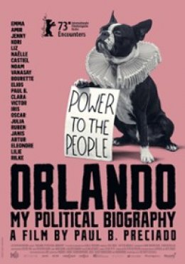 Orlando - moja polityczna biografia - film