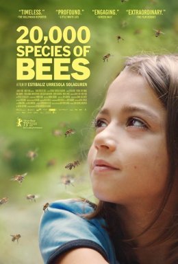 20 000 gatunków pszczół - film