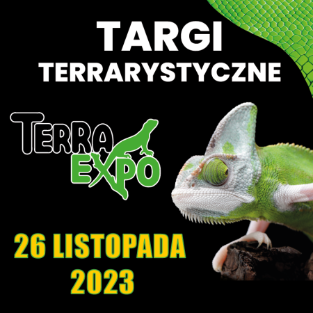 Toruńskie Targi Terrarystyczne Terra Expo Arena Toruń 26 listopada - targi