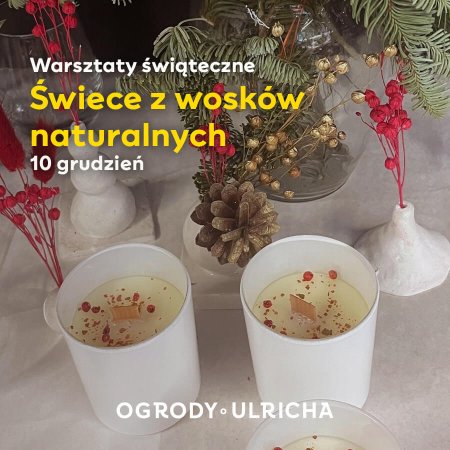 Warsztaty świątecznych świec z wosków naturalnych - inne