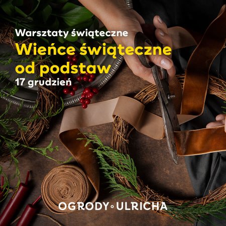 Warsztaty tworzenia wieńców świątecznych - inne