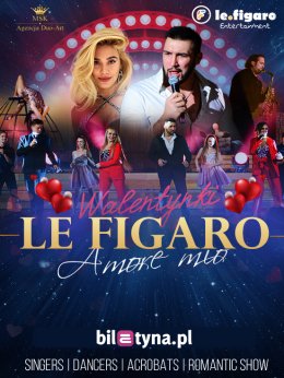 Walentynkowa Rewia Musicalowa ,,Le figaro-Amore mio" - koncert