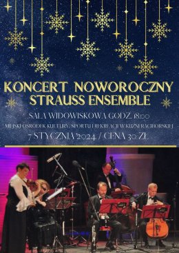 Strauss Ensemble - koncert