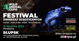 Wild Animal Expo - Festiwal Zwierząt Egzotycznych Słupsk 21-01-2024 - wystawa