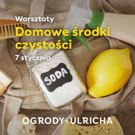 Warsztaty ekologiczne: domowe środki czystości - inne