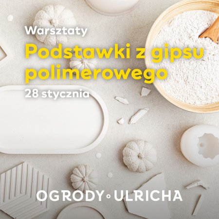 Warsztaty tworzenia podstawek z gipsu polimerowego - inne