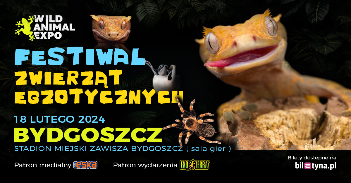 Wild Animal Expo Festiwal Zwierząt Egzotycznych Bydgoszcz 18022024