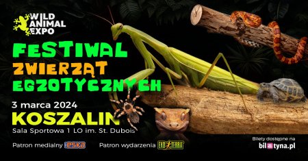 Wild Animal Expo - Festiwal Zwierząt Egzotycznych Koszalin 3-03-2024 - targi