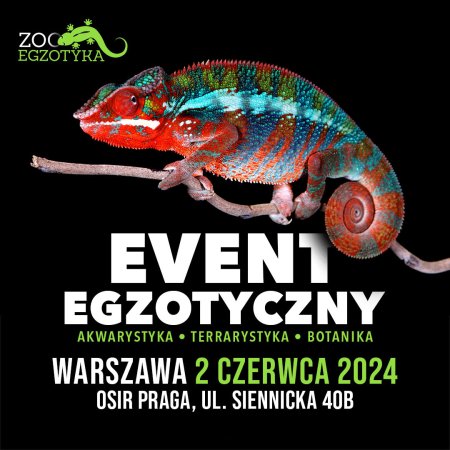 ZooEgzotyka Warszawa - targi