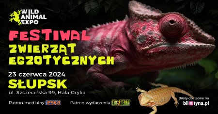 Wild Animal Expo - Festiwal Zwierząt Egzotycznych Słupsk 23-06-2024 - targi