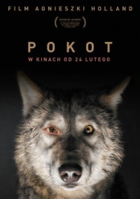 "POKOT" NHEF szkoły ponadpodstawowe - film