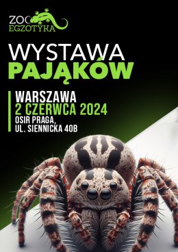 Wystawa pająków - Warszawa - targi