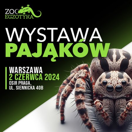 Wystawa pająków - Warszawa - targi