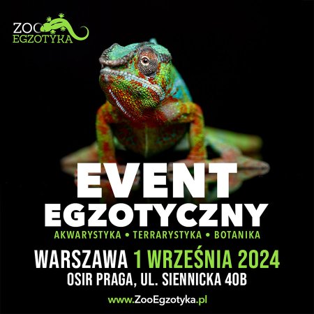 ZooEgzotyka Warszawa - targi