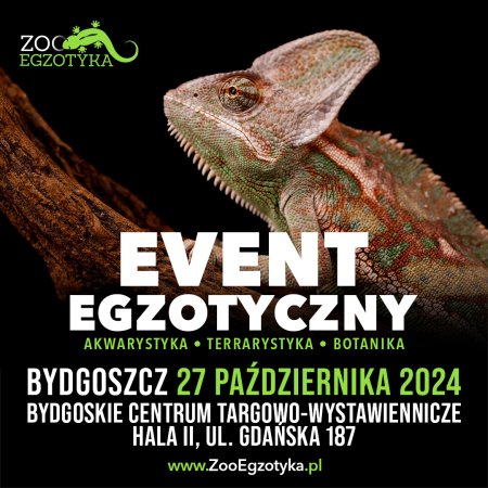 ZooEgzotyka - Bydgoszcz - targi