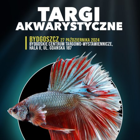 Targi Akwarystyczne - Bydgoszcz - targi