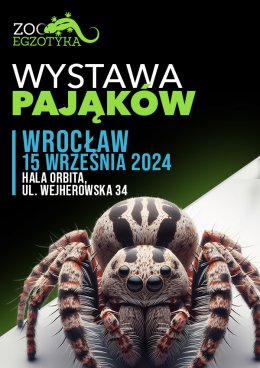 Wystawa pająków - Wrocław - targi