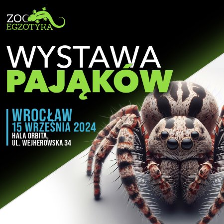 Wystawa pająków - Wrocław - targi