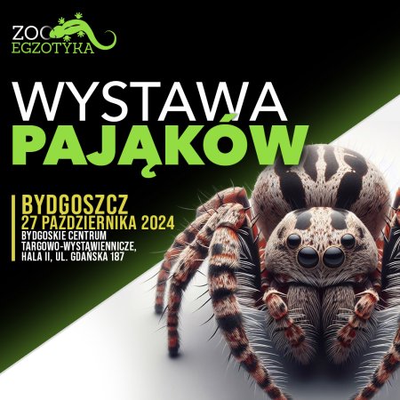 Wystawa pająków - Bydgoszcz - targi