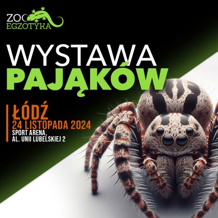 Wystawa pająków - Łódź - targi