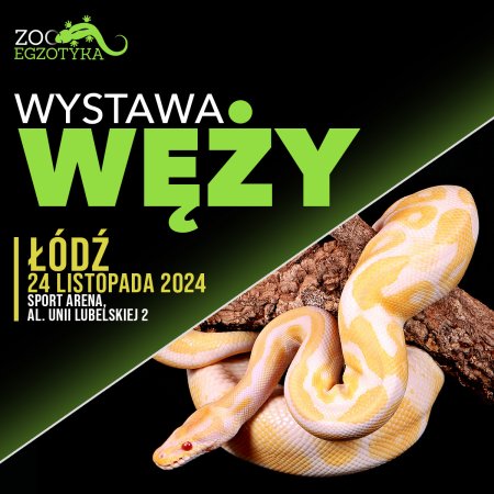 Wystawa węży - Łódź - wystawa