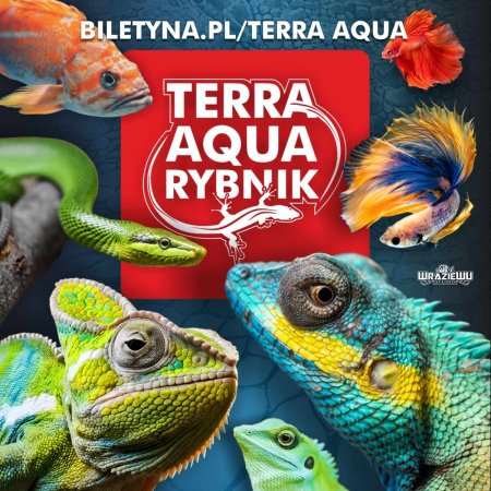tar - wystawa