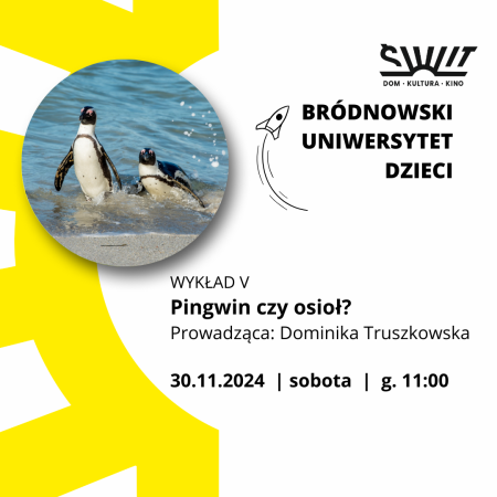 Bródnowski Uniwersytet Dzieci: Pingwin czy osioł? - inne