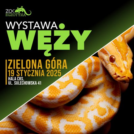 Wystawa węży - Zielona Góra - targi