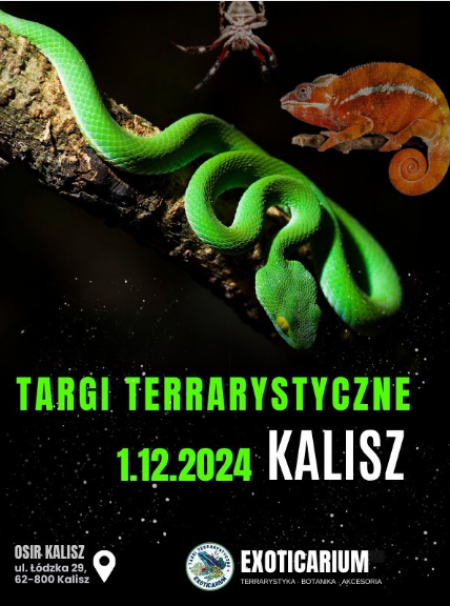 EXOTICARIUM Targi Terrarystyczne Kalisz - targi
