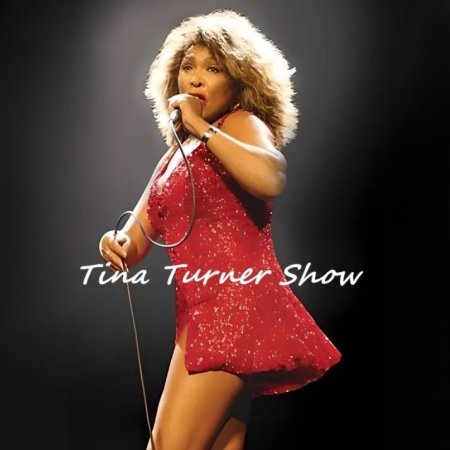 Tina Turner Show - koncert