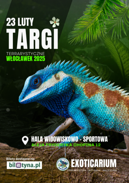 EXOTICARIUM Targi Terrarystyczne Włocławek - targi
