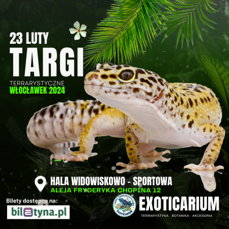 EXOTICARIUM Targi Terrarystyczne Włocławek - targi