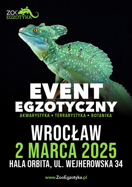 ZooEgzotyka Wrocław - targi