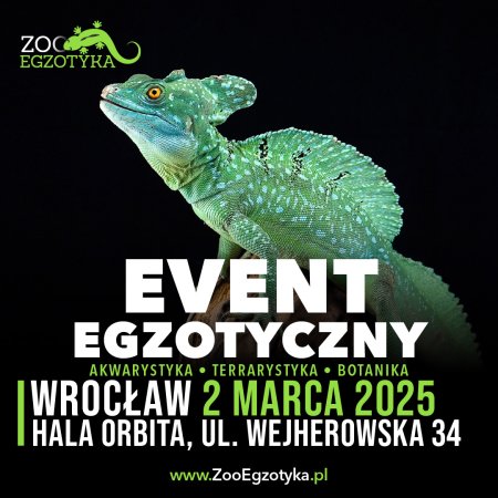 ZooEgzotyka Wrocław - targi