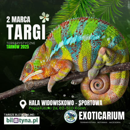 EXOTICARIUM Targi Terrarystyczne Tarnów - targi