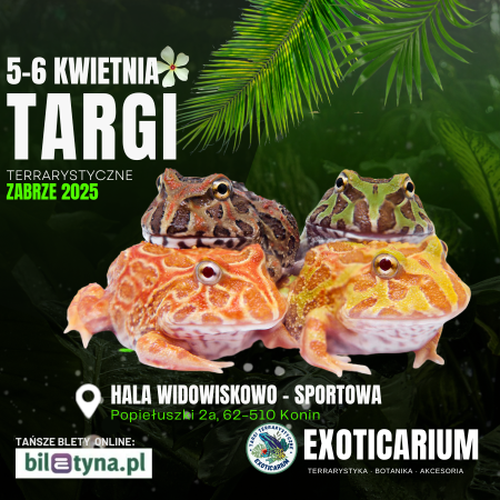 EXOTICARIUM Targi Terrarystyczne Zabrze - targi dwudniowe 5-6 kwiecień - targi