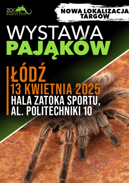 Wystawa pająków - Łódź - targi