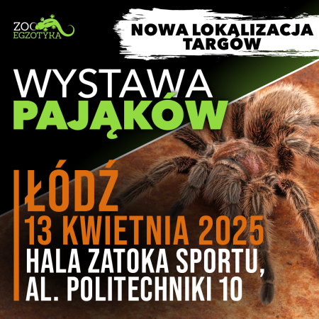 Wystawa pająków - Łódź - targi