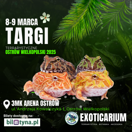 EXOTICARIUM Targi Terrarystyczne Ostrów Wielkopolski - targi