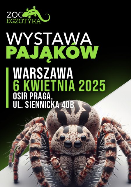 Wystawa pająków - Warszawa - targi
